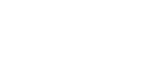 وی آئی پی پے logo